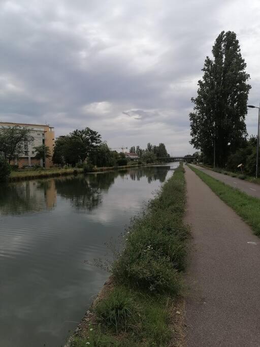 L'elegant-parking Prive-10min Strasbourg-nbsimmo Appartement