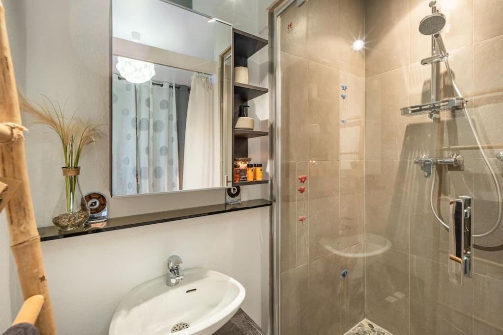 Appartement L'elegant-parking Prive-10min Strasbourg-nbsimmo Bischheim