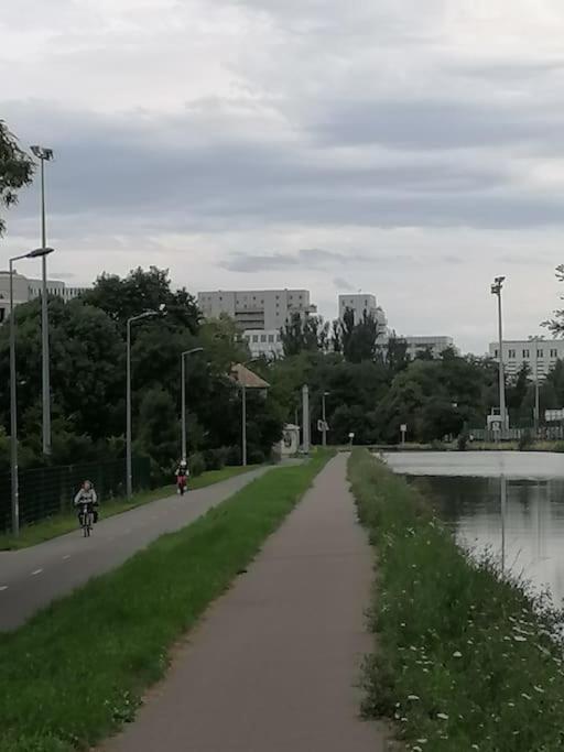 L'elegant-parking Prive-10min Strasbourg-nbsimmo Appartement Bischheim
