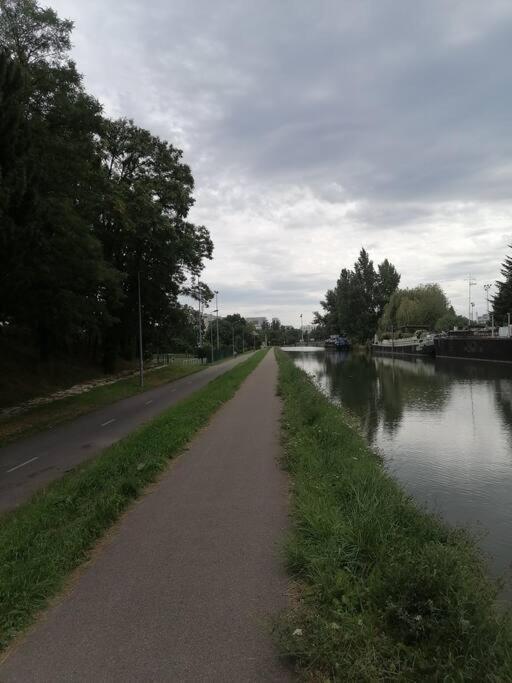 L'elegant-parking Prive-10min Strasbourg-nbsimmo Appartement